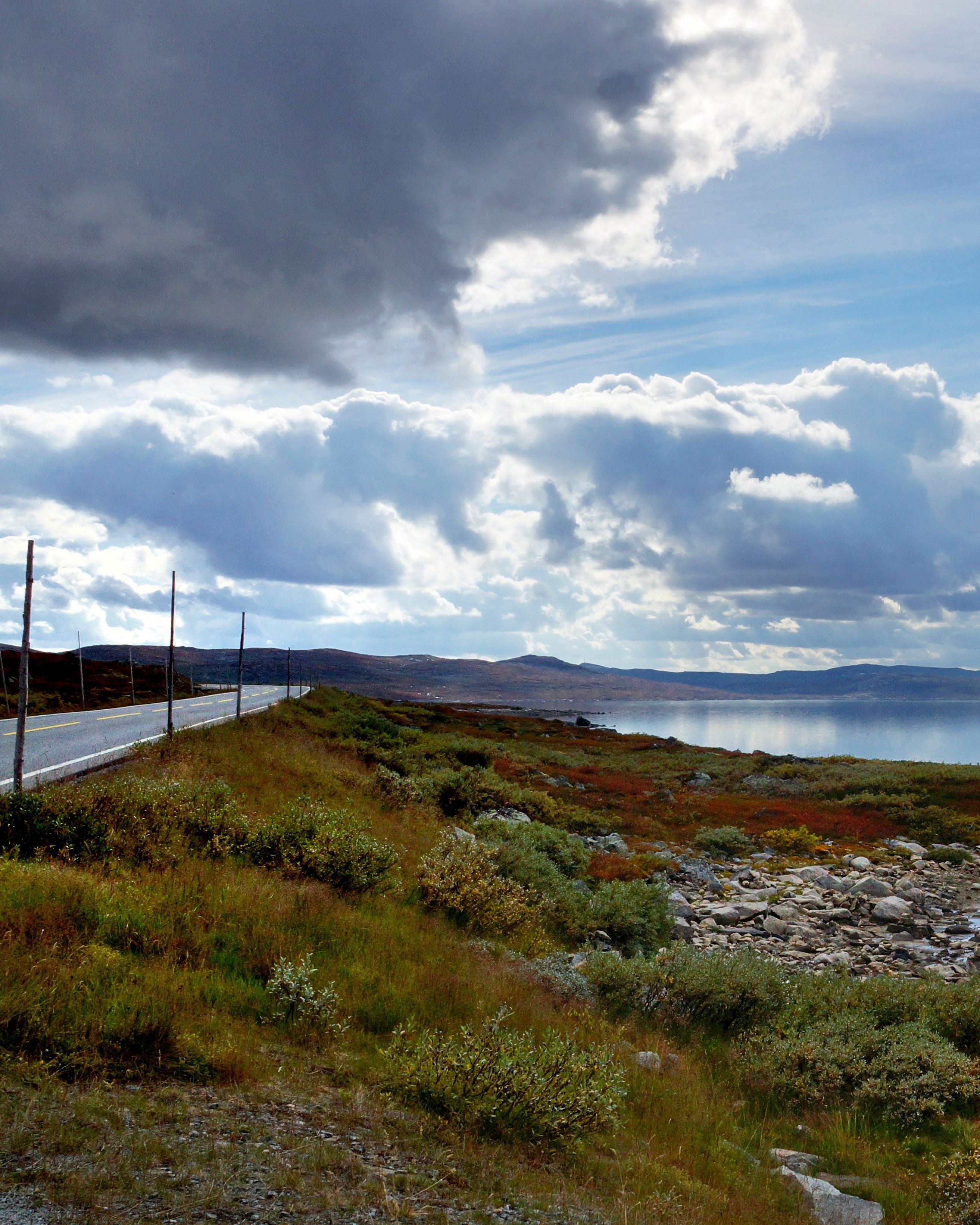 Hardangervidda, road and water.