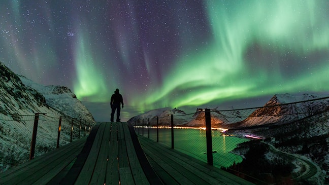 Eine Person bewundert das Nordlicht und die Fjordlandschaft vom Aussichtspunkt Bergsbotn auf der Insel Senja.