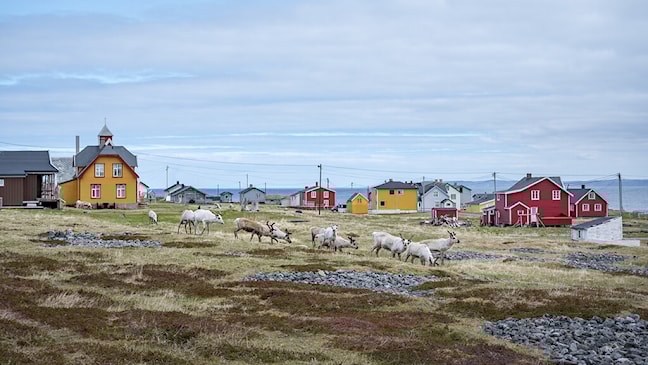 Trehus i ulike farger omgitt av fjell og hav.