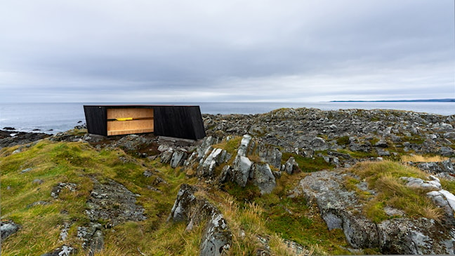 Vogelbeobachtungsposten Hamningberg. Foto: Frid-Jorunn Stabell, Statens vegvesen