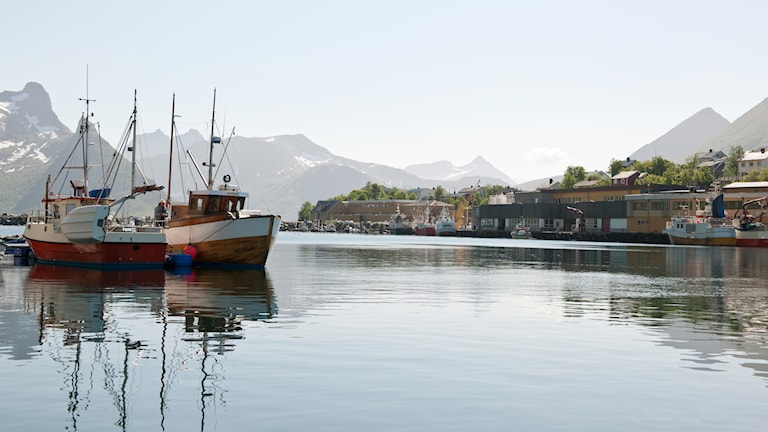 Husøya, Norwegian Scenic Route Senja.