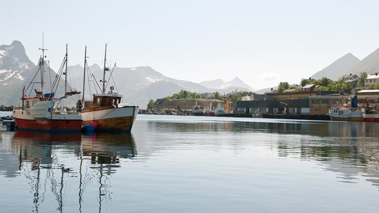 Husøy, et levende fiskevær på en avstikker fra Nasjonal turistveg Senja. Foto: Jiri Havran, Statens vegvesen
