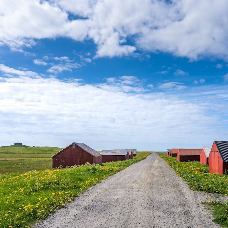 Schotterweg, umgeben von Holzhäusern in einer Feldlandschaft.