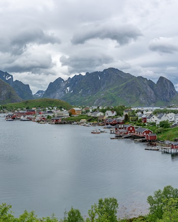 Reine.