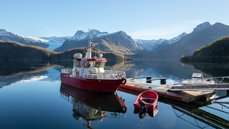 Holandsfjorden, Engabreen.