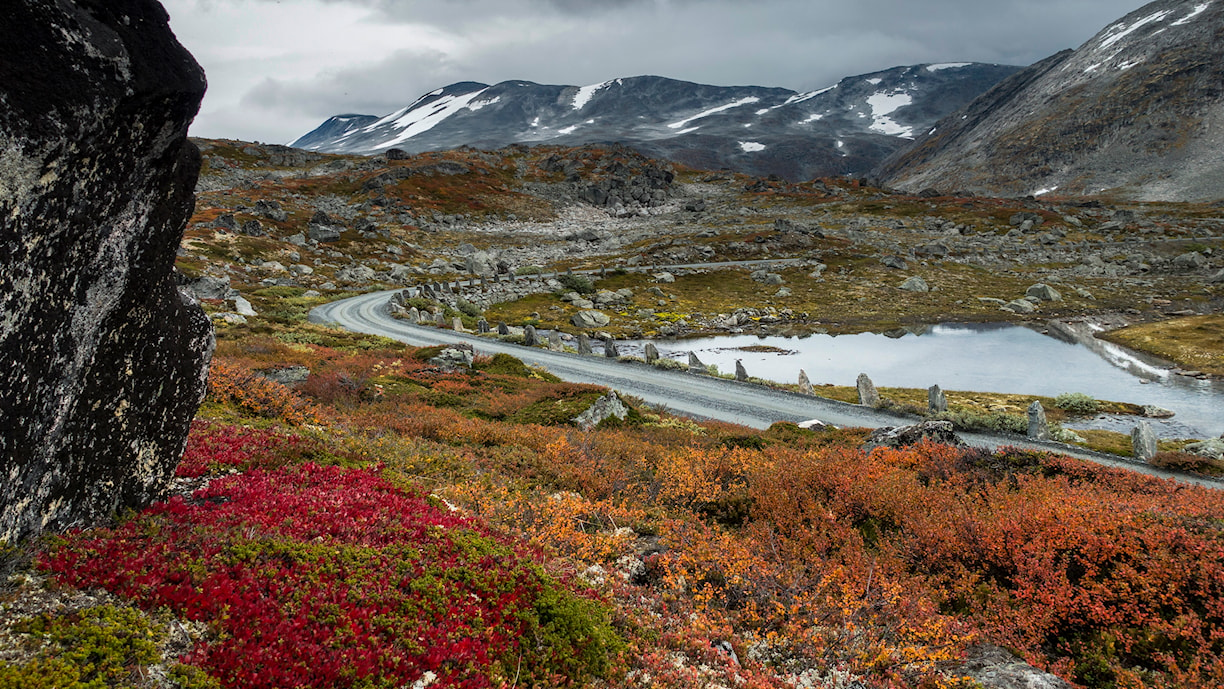 Vassvendtjønnin, Norwegian Scenic Route Gamle Strynefjellsvegen.