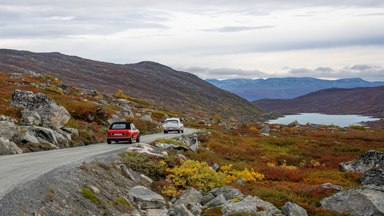 Videdalen. Norwegian Scenic Route Gamle Strynefjellsvegen.