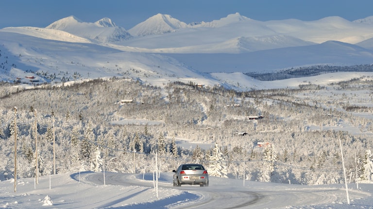 Venabygdfjellet.