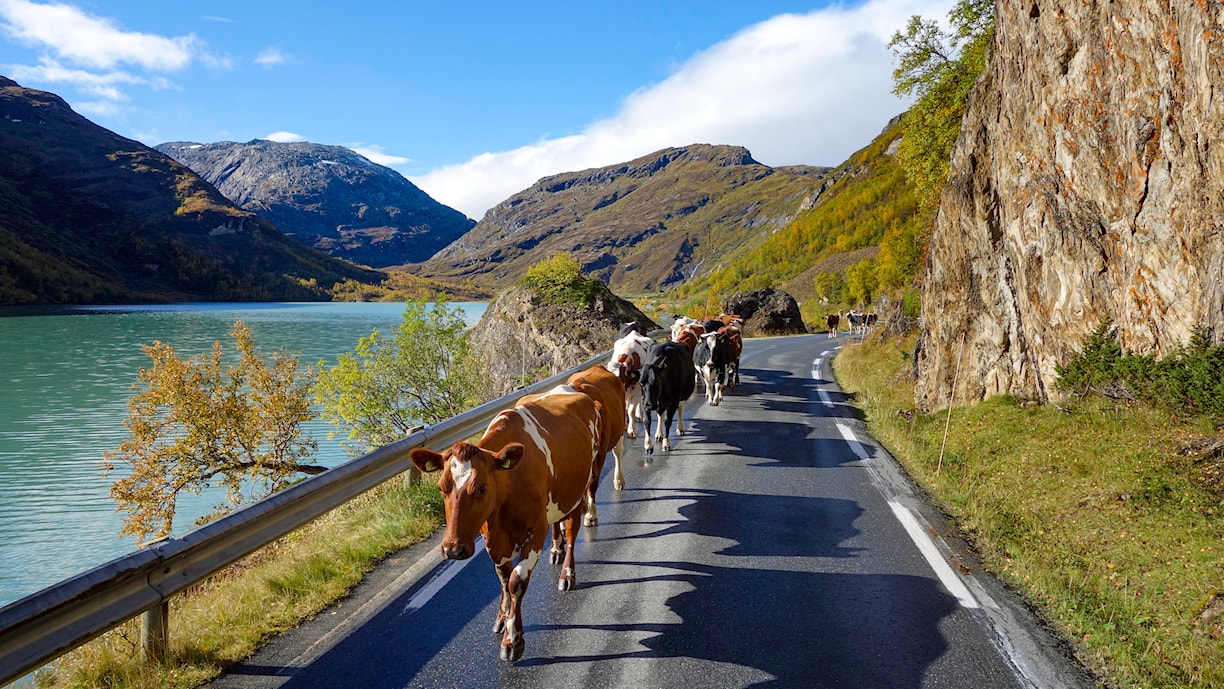 Bøvertunvatnet, Lom.