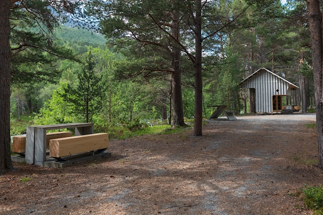 Liasanden rest area in the pine forest in Leirdalen, Lom.
