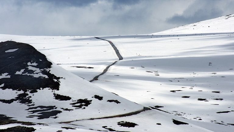 Smørkoll, Garli. Norwegian Scenic Route Valdresflye.