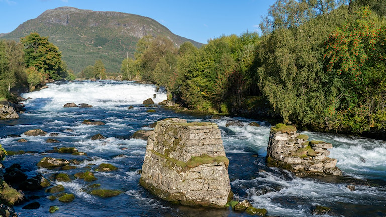 Råheimselva, Viksdalen.