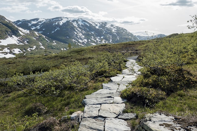 Torsnesstølen.
