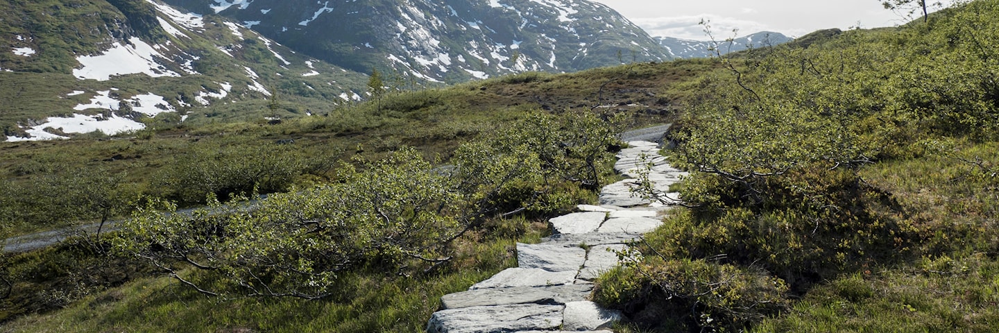 Torsnesstølen.