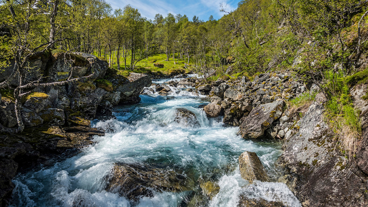 Erdalselvi, Sluppen.