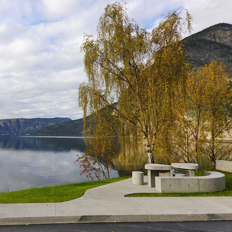 Sitjegruppe i betong ved fjorden, omgitt av bjørketrær med gule haustblad.