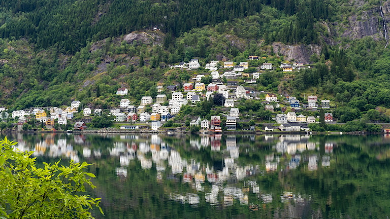 Odda.