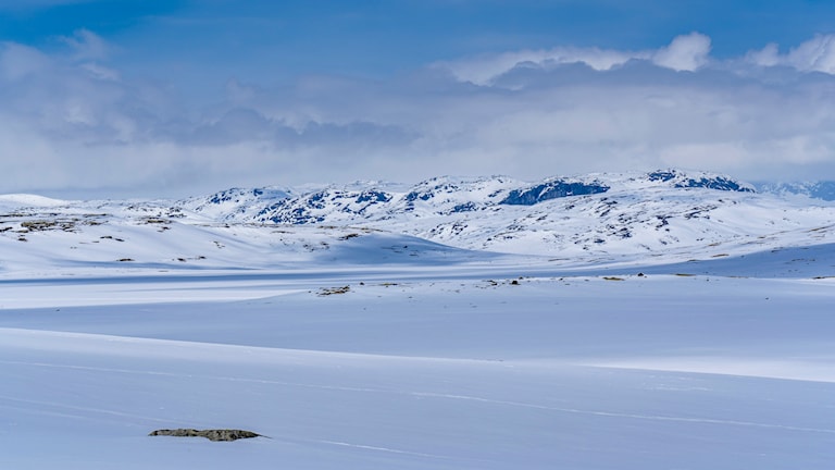 Ørteren, Hardangervidda.