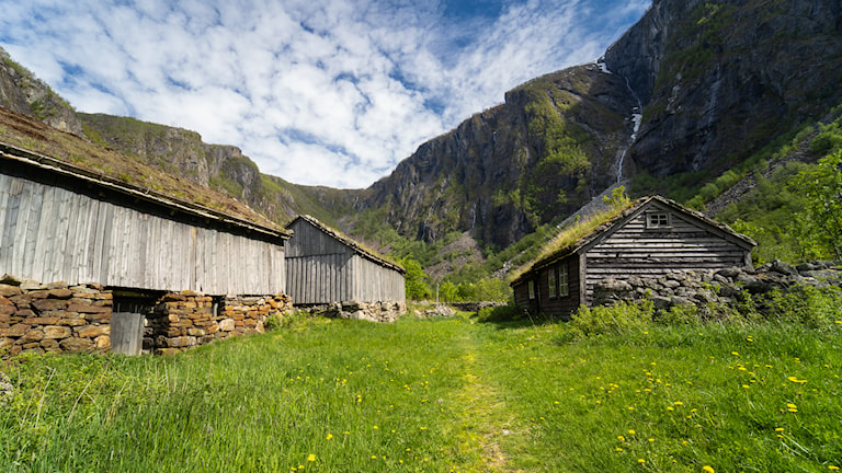 Måbø farm.