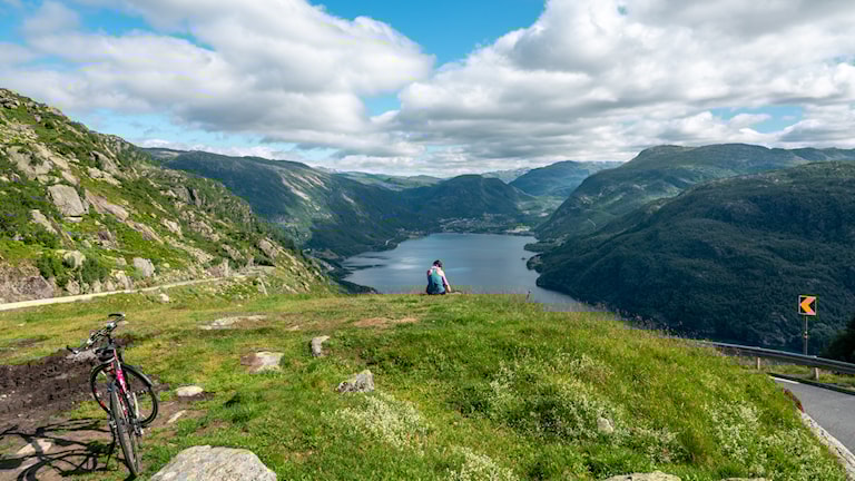 Utsikt over Røldalsvatnet.