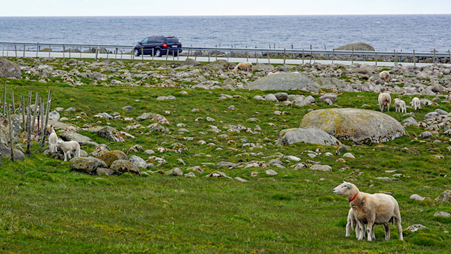 Jæren | Nasjonale turistveger